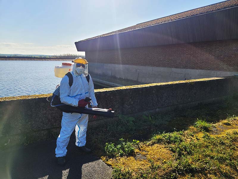 Spraying01